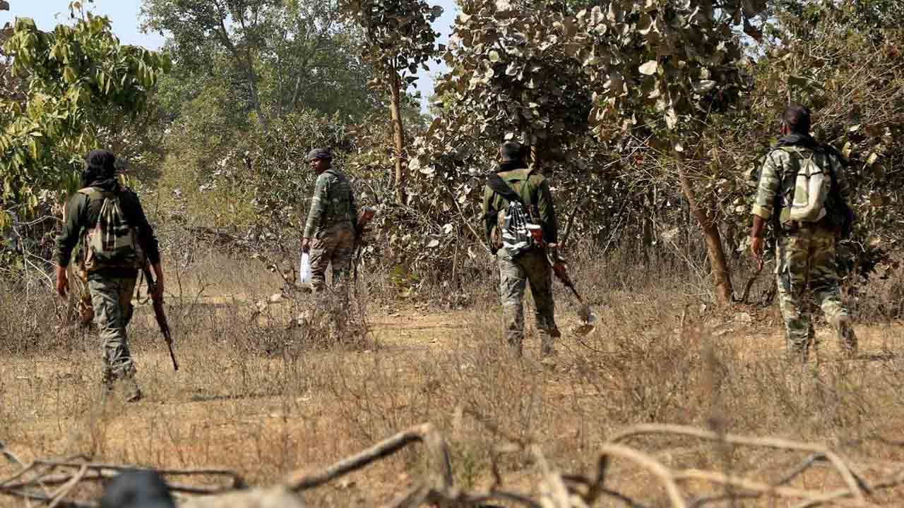 ఛత్తీస్‌గఢ్‌లో మందుపాతర పేలి 11 మంది మృతి చెందారు