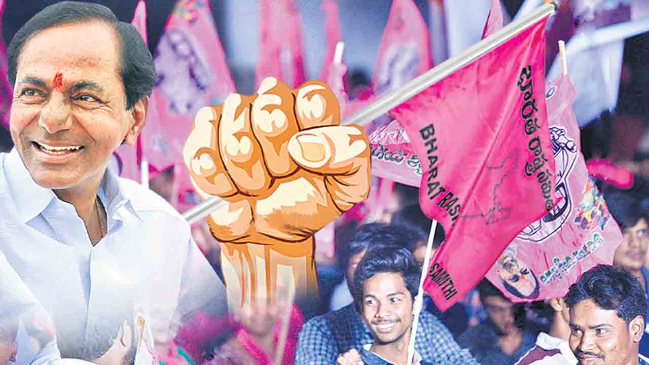 గులాబీ పండుగ