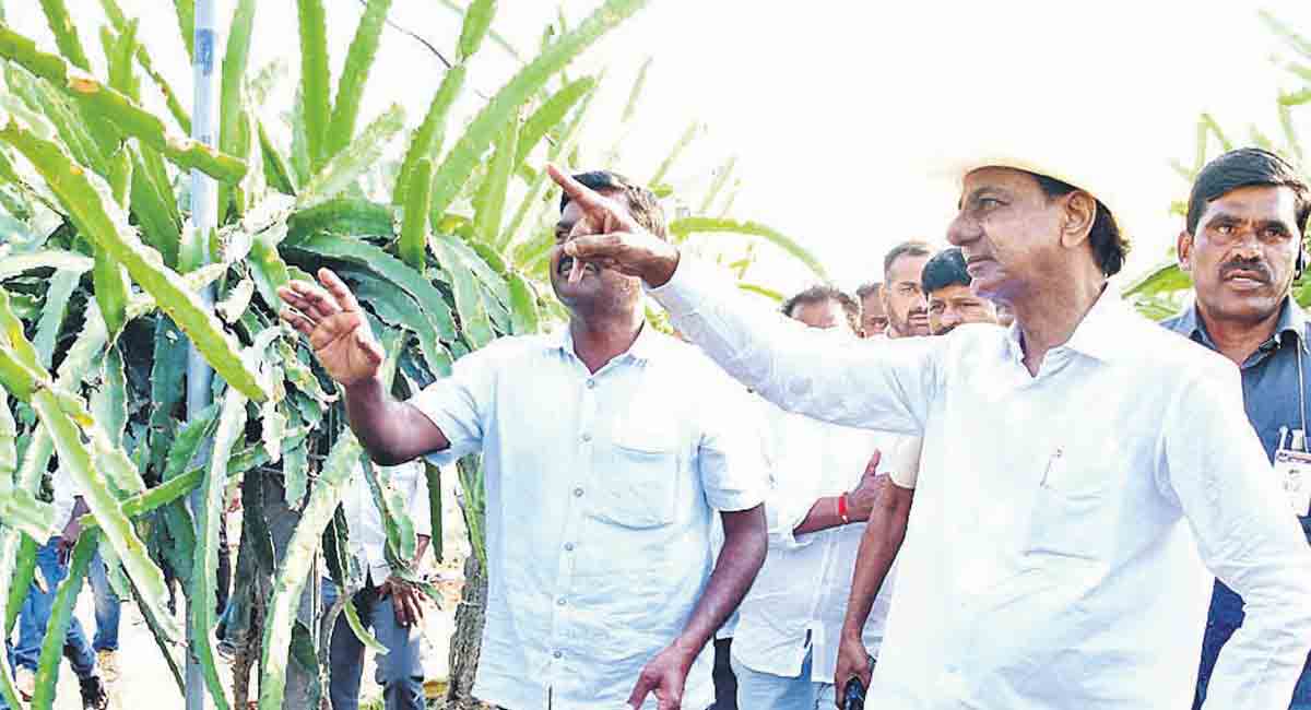 వ‌డ‌గండ్ల రైతుకు కేసీఆర్ సాయం
