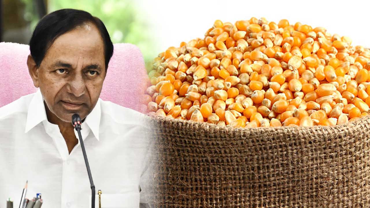 CM KCR | మక్కల కొనుగోలు ప్రభుత్వం గ్రీన్‌ సిగ్నల్‌.. కొనుగోలు కేంద్రాలు ప్రారంభించాలని సీఎం కేసీఆర్‌ ఆదేశం