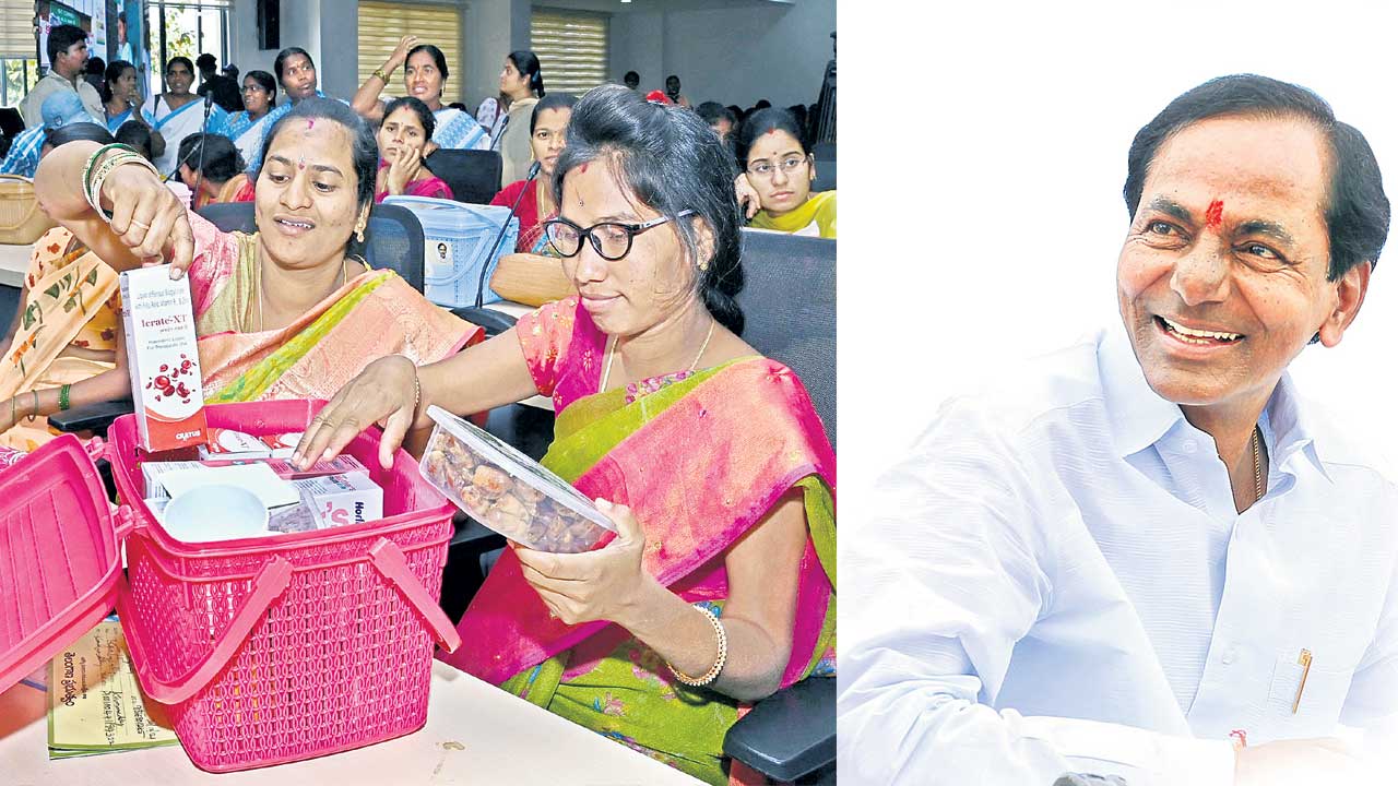 కేసీఆర్‌ న్యూట్రిషన్‌ కిట్‌..సూపర్‌ హిట్‌