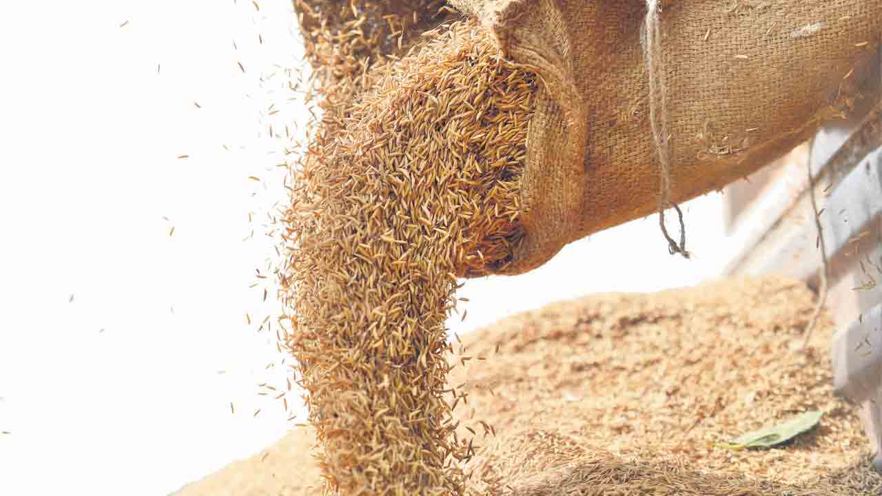 ధాన్యం కొనుగోళ్లకు రెడీ