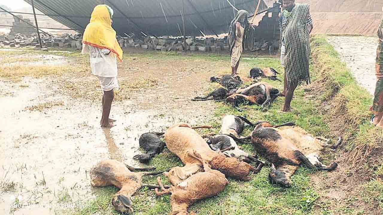 మళ్లీ గాలివాన బీభత్సం