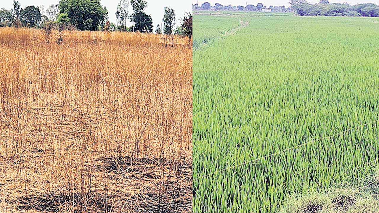 పక్కన సంక్షోభం.. ఇక్కడ సంక్షేమం