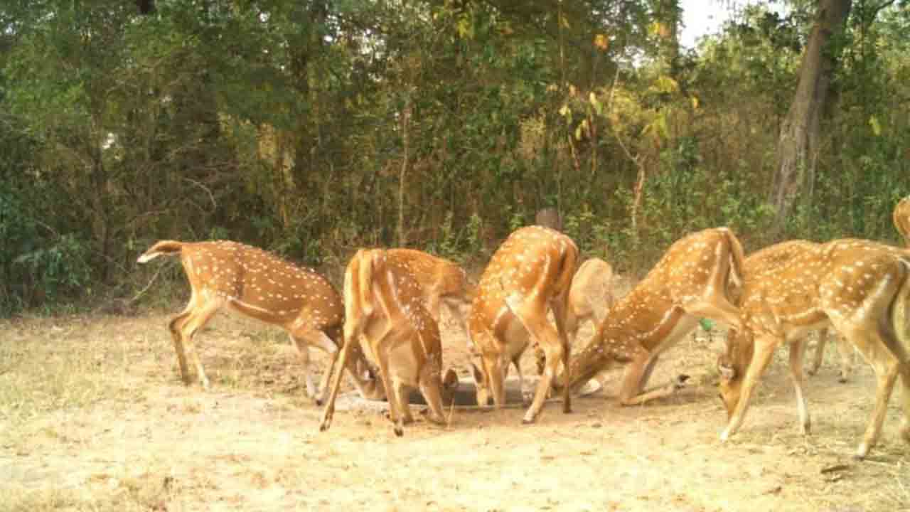 Khammam2