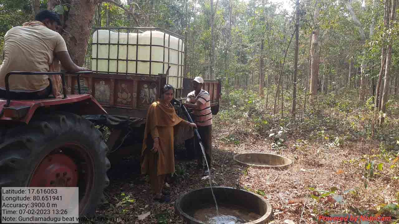Bhadradri Forest |  వైల్డ్‌ యానిమల్స్‌కు ఆవాసయోగ్యంగా ‘భద్రాద్రి’ ఫారెస్ట్‌