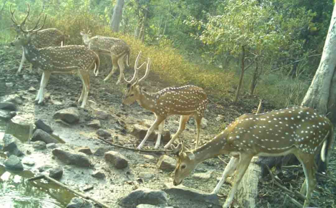 Khammam5