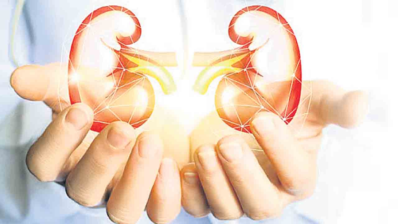కిడ్నీ బాధితులకు అండగా..