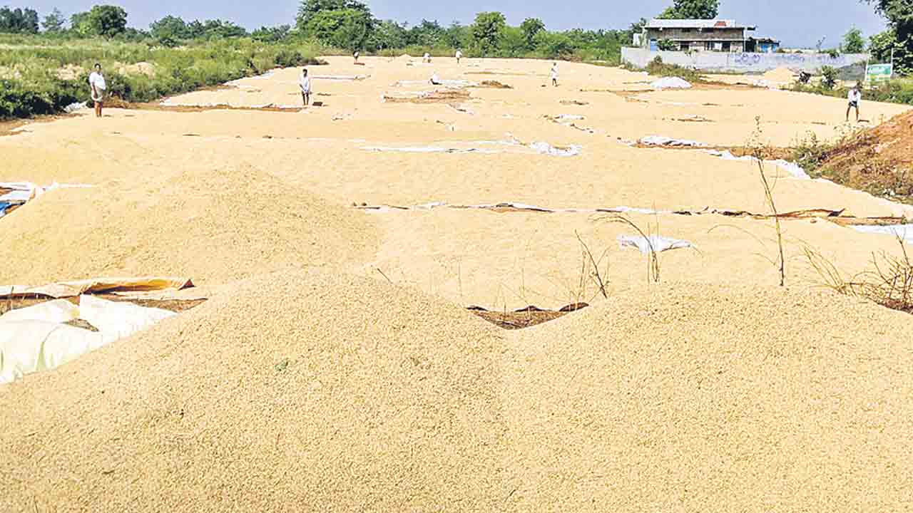 ధాన్యం సేకరణకు సిద్ధం