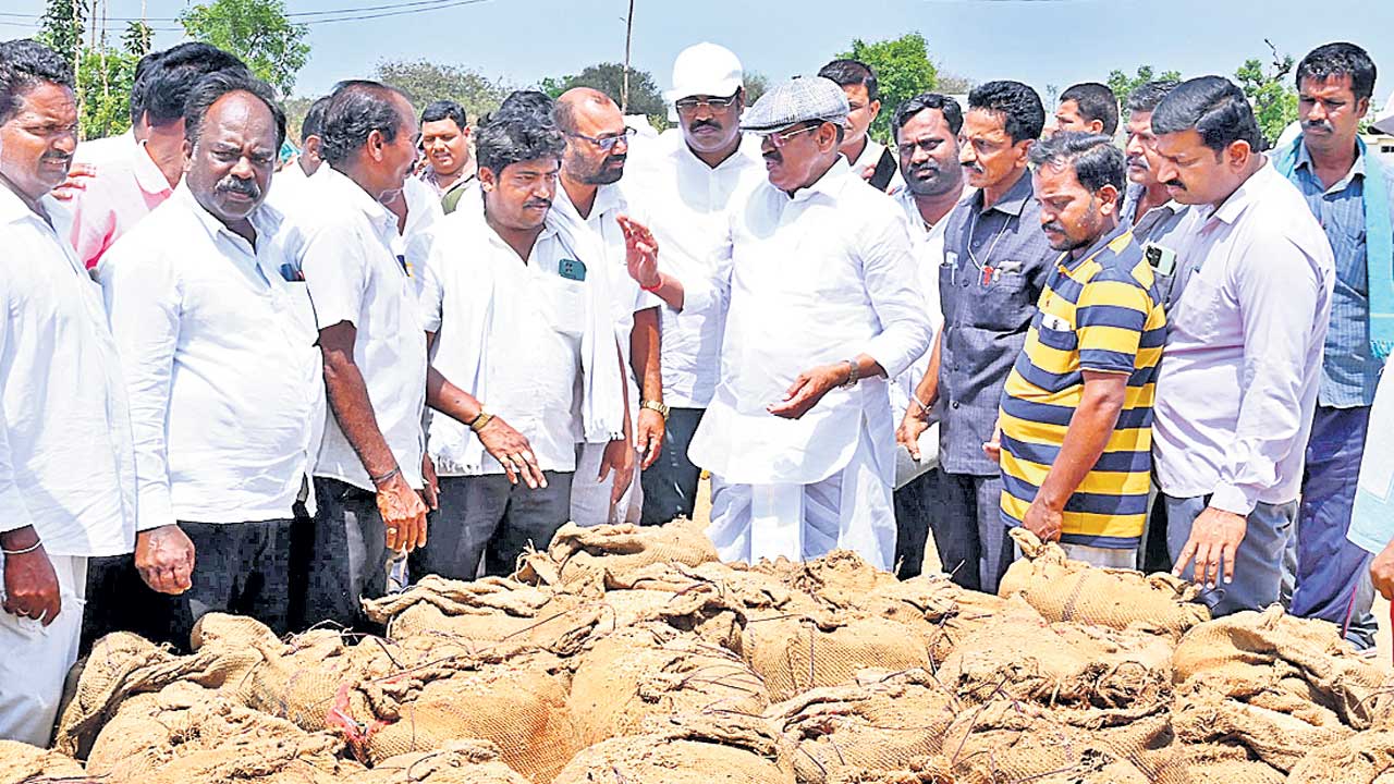 దెబ్బతిన్న పంటలను పరిశీలించిన ప్రజాప్రతినిధులు