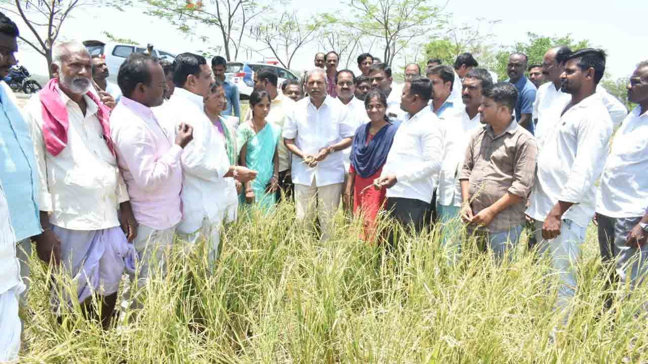 రైతులను ఆదుకుంటాం