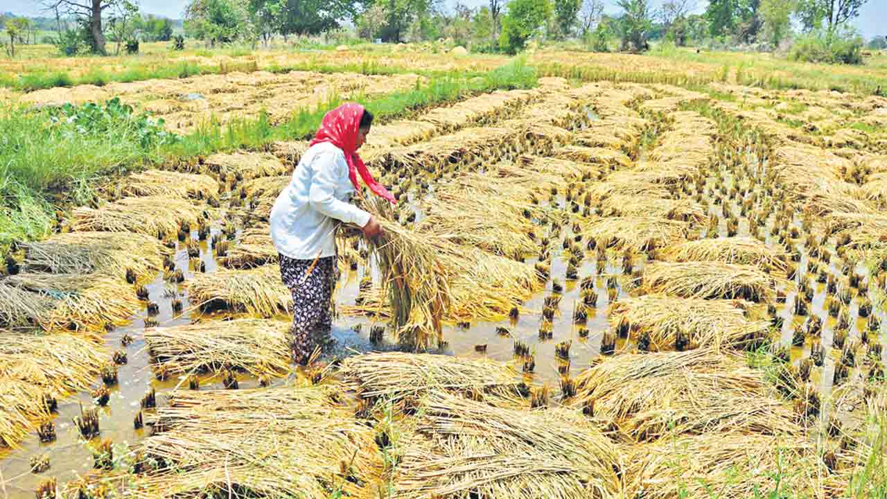 ఆశ‌లు ఆవిరి