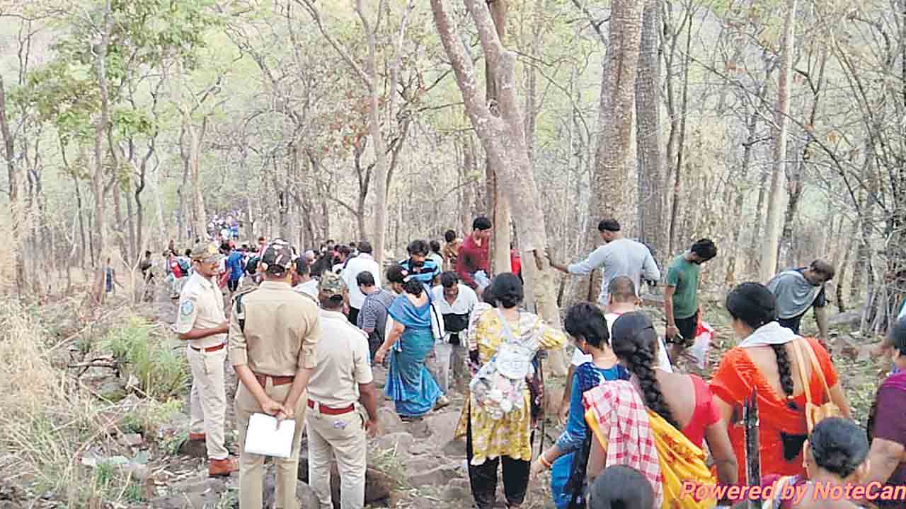 పులకించిన నల్లమల