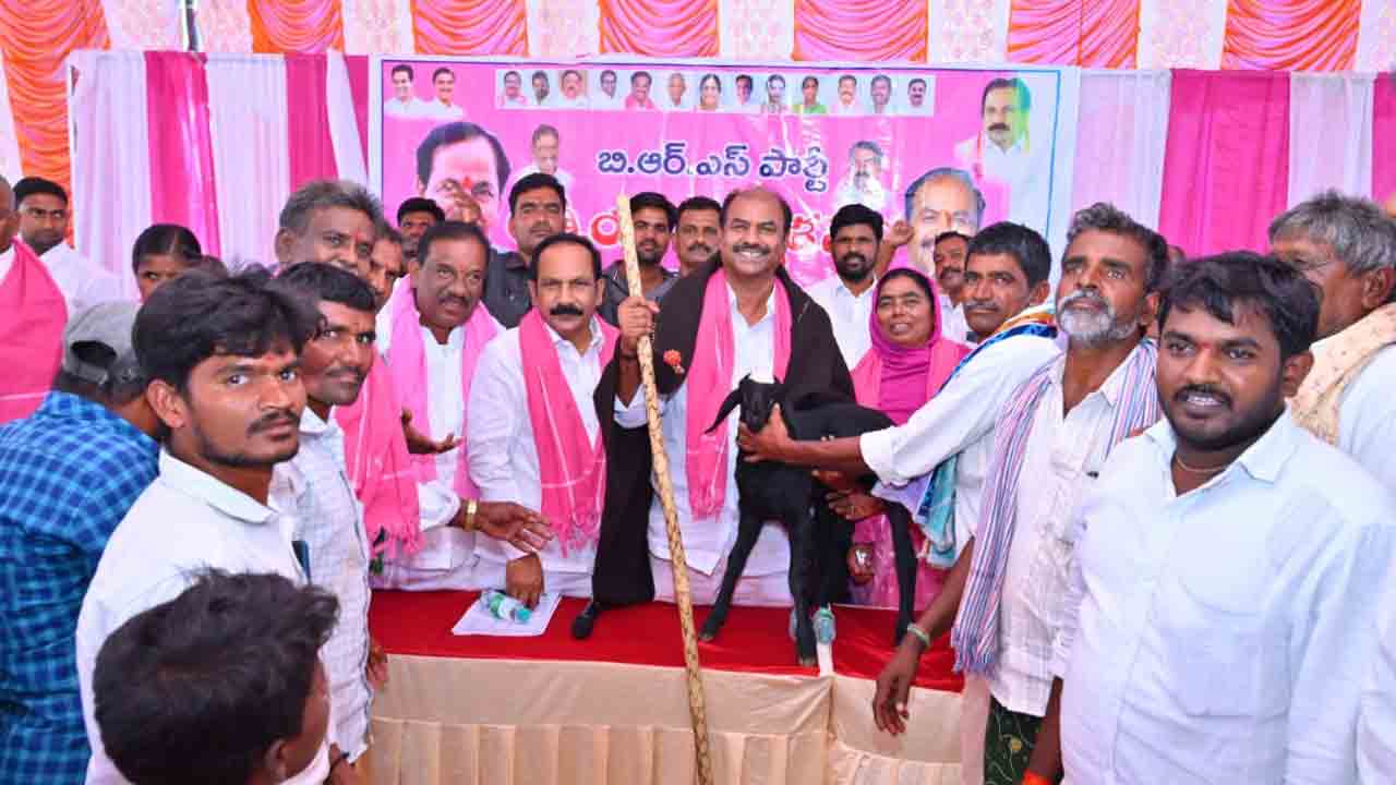 గణనీయమైన ప్రగతి సాధించాం