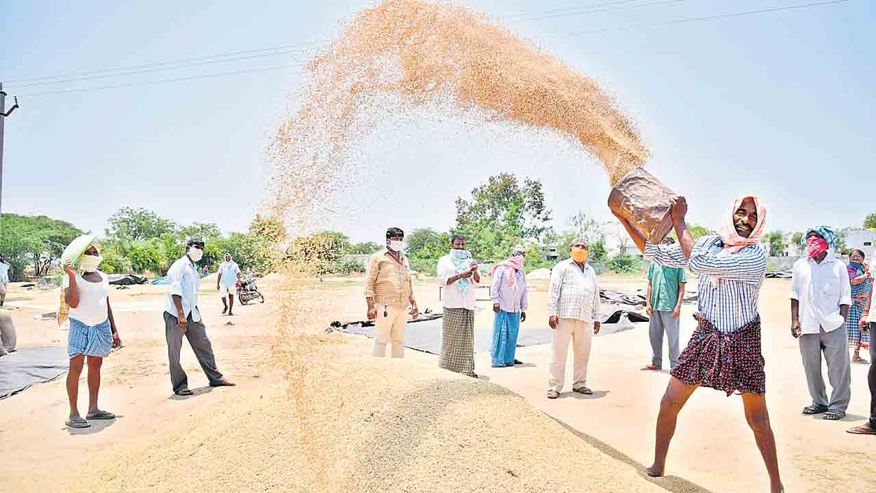 సేకరణకు సన్నద్ధం