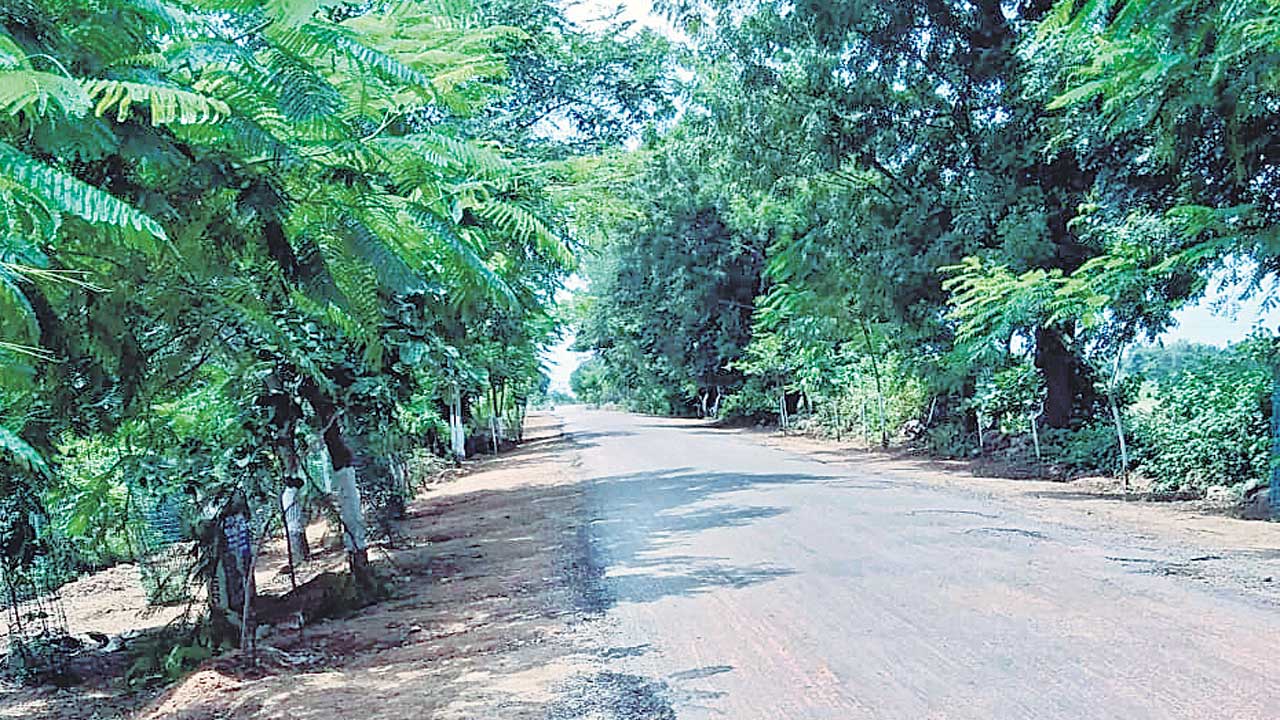 మల్లాపూర్‌ మారింది.. అన్నింటా ముందంజలో గ్రామం