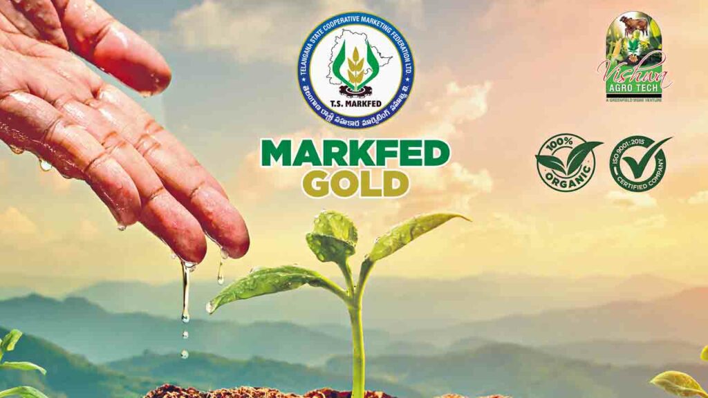 మార్క్ ఫెడ్ బంగారం