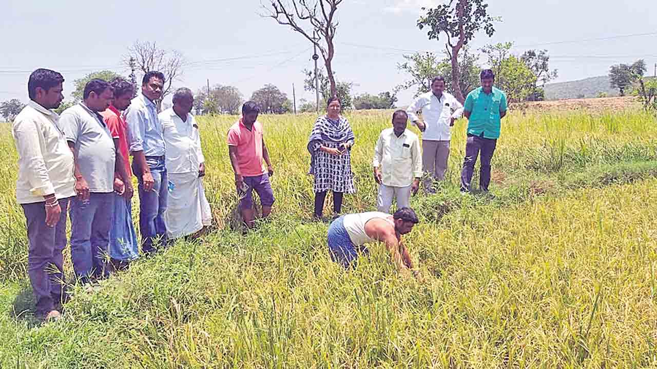 క‌ష్టం నీళ్ల‌పాలు