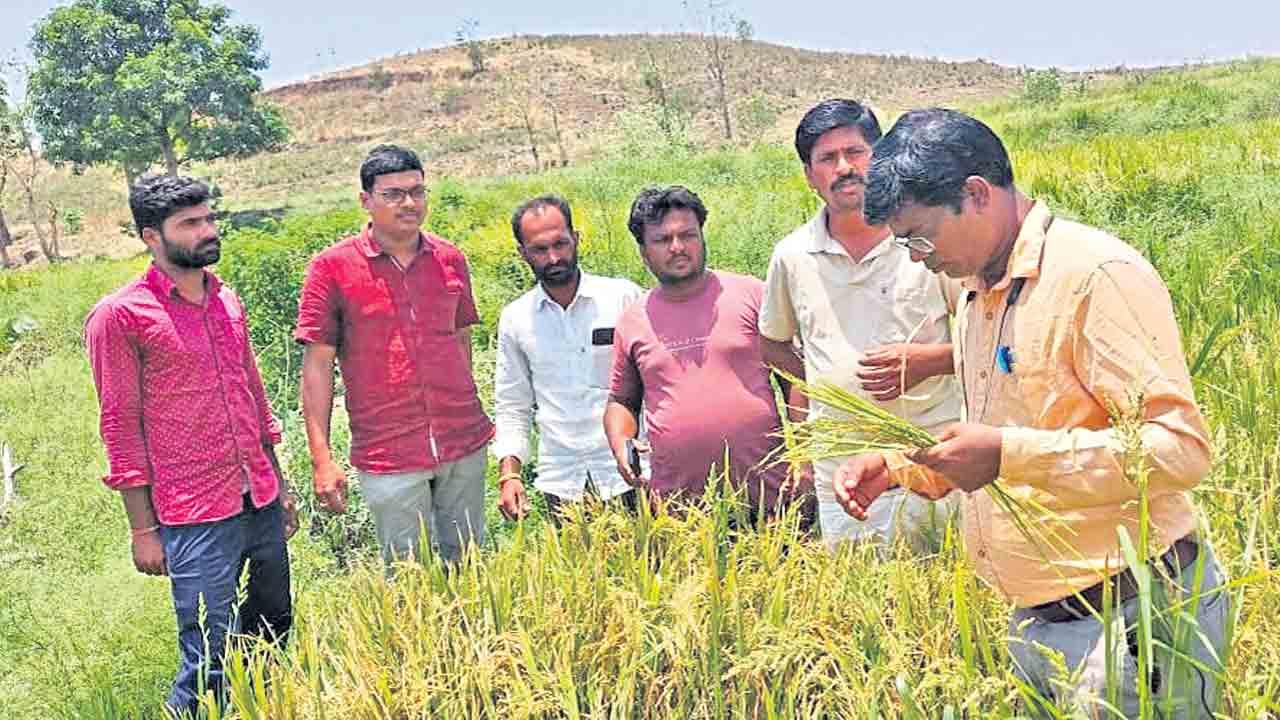 అకాల వ‌ర్షం.. అపార న‌ష్టం
