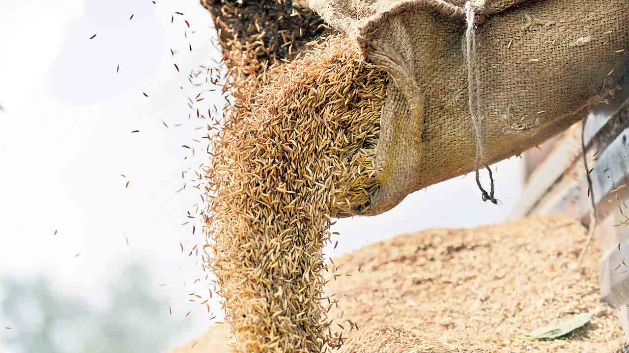 ధాన్యం కొనుగోళ్లకు సిద్ధం
