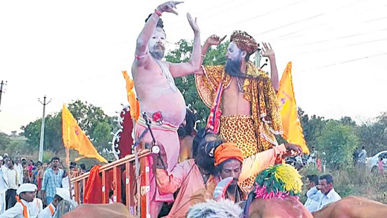 Medak7