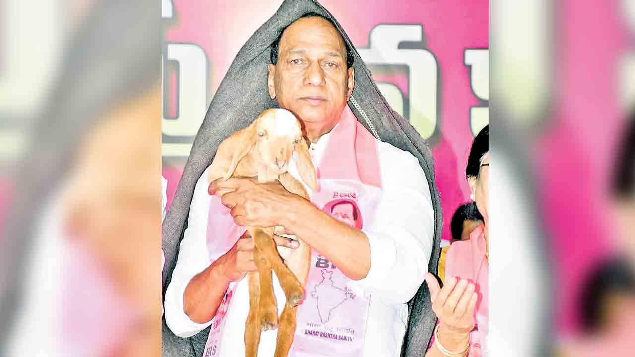 దేశమంతా తెలంగాణ మోడల్‌ కావాలి