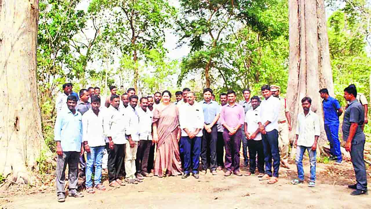 వృక్షాలకు శ్రీ రామ రక్ష