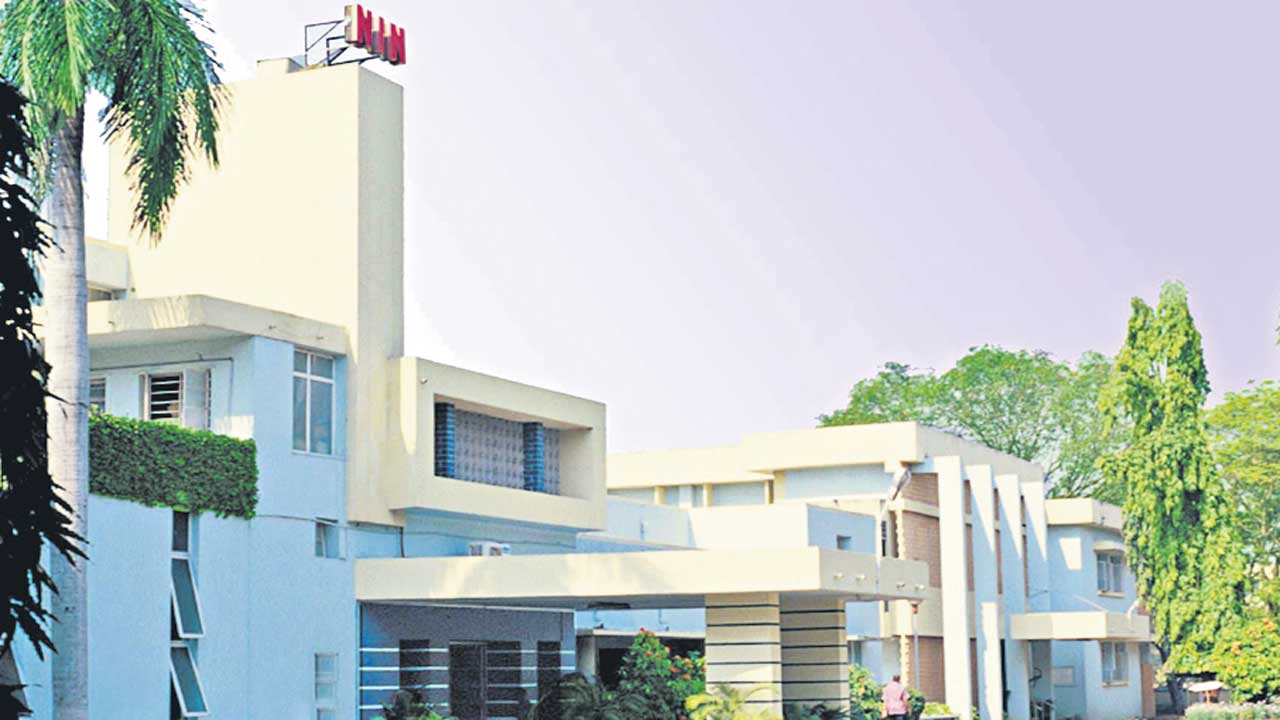 పోషకాల బియ్యం.. రోగాలు నయం