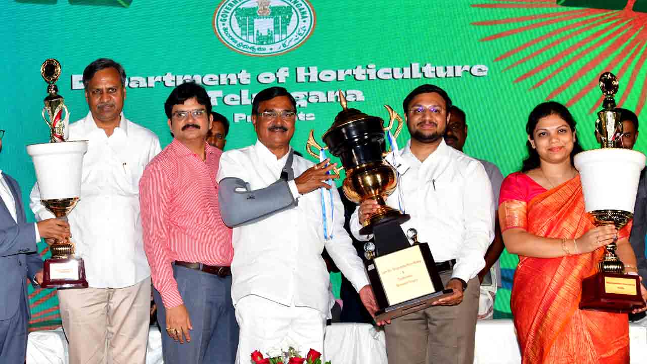 మిద్దెతోటల పెంపకం ప్రశంసనీయం