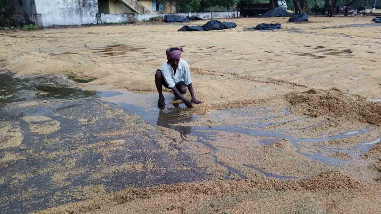 CM KCR | ముంచెత్తిన రాళ్లవాన.. పంట నష్టాన్ని అంచనా వేయాలని సీఎస్‌కు సీఎం కేసీఆర్‌ఆదేశం