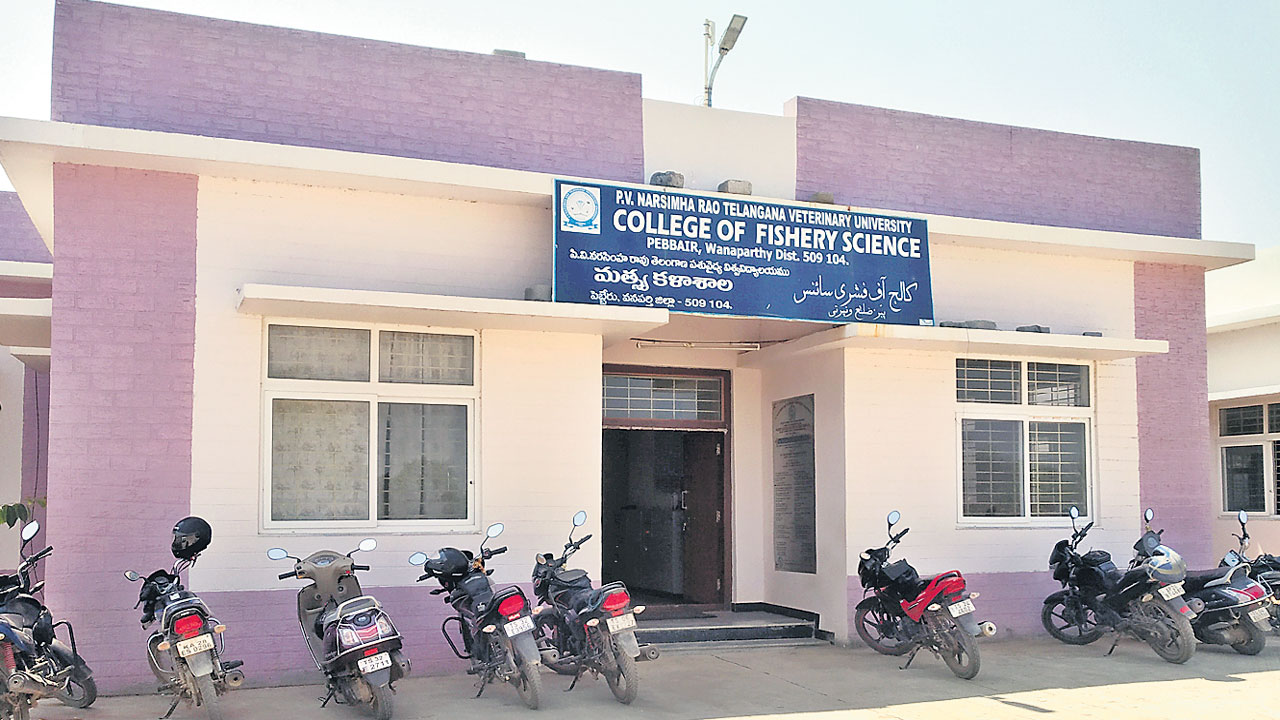 మత్స్య సంపద పెంచేందుకే..