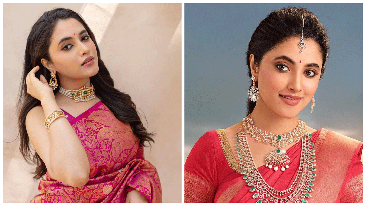 Priyanka Mohan | బంపరాఫర్‌ను చేజిక్కించుకున్న ప్రియాంక మోహన్