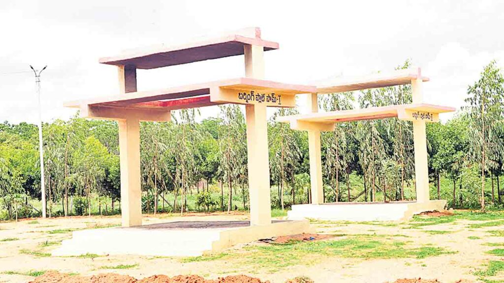 లంగరేడి