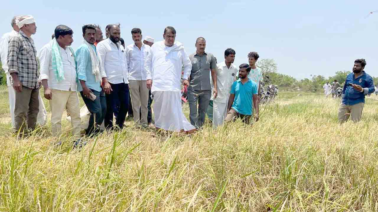 Speaker Pocharam | పంట కాలాన్ని ముందుకు జరుపుకోవాలి : రైతులకు స్పీకర్‌ పోచారం వినతి