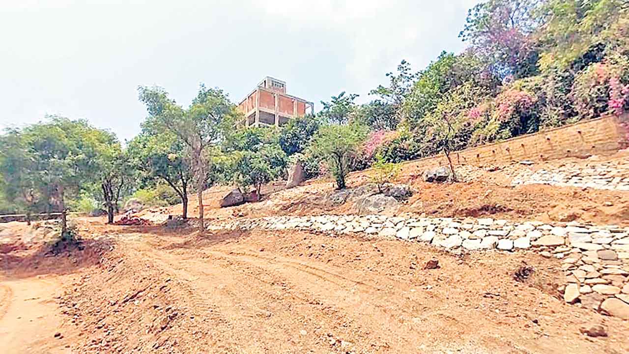 సంస్కృతి టౌన్‌షిప్‌ అభివృద్ధికి ప్రభుత్వం చేయూత