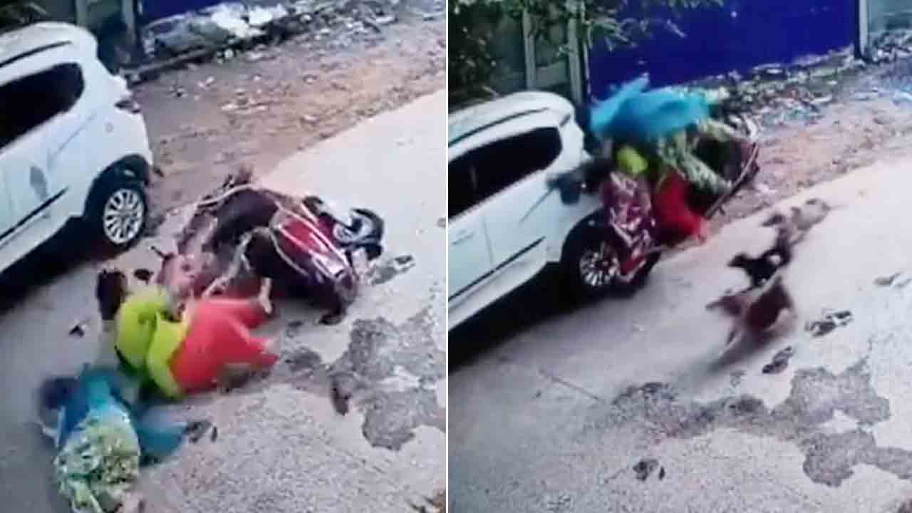 Viral Video | స్కూటీని వెంబడించిన వీధి కుక్కలు.. ఆగి ఉన్న కారును ఢీకొన్న స్కూటీ
