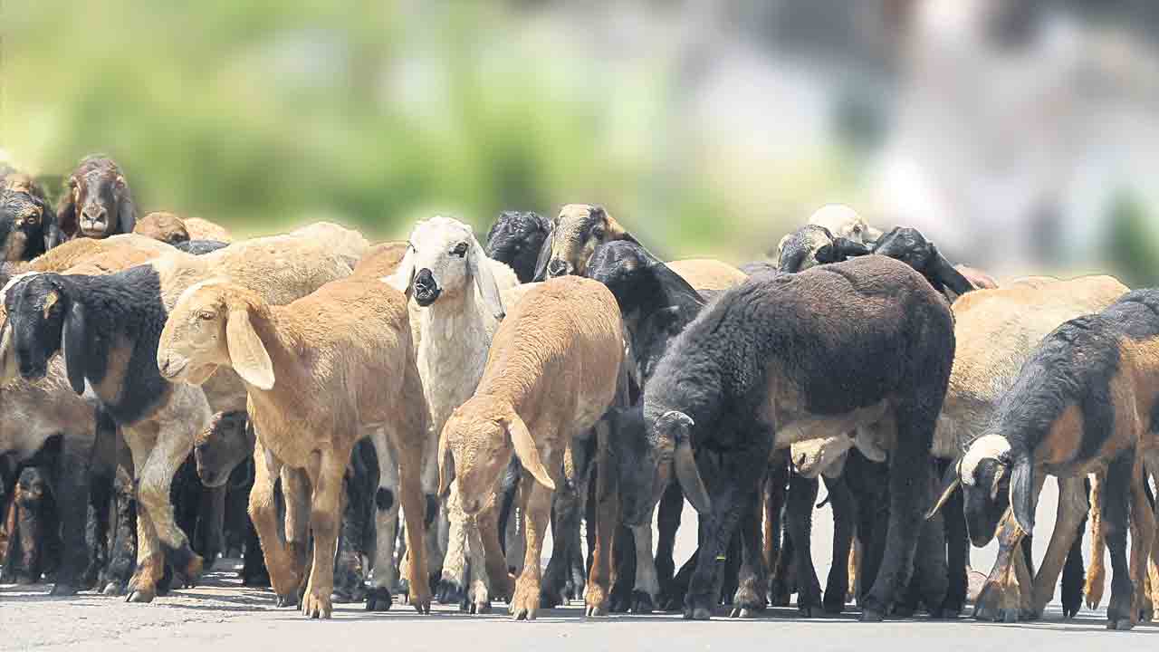 రెండో విడతకు సన్నద్ధం