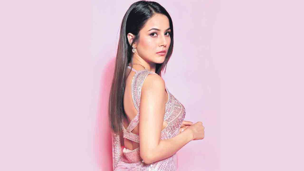 Salman Khan | సల్మాన్‌ ఫోన్‌ నెంబర్‌ బ్లాక్‌ చేశా.. అసలు విషయం చెప్పిన యంగ్‌ హీరోయిన్‌