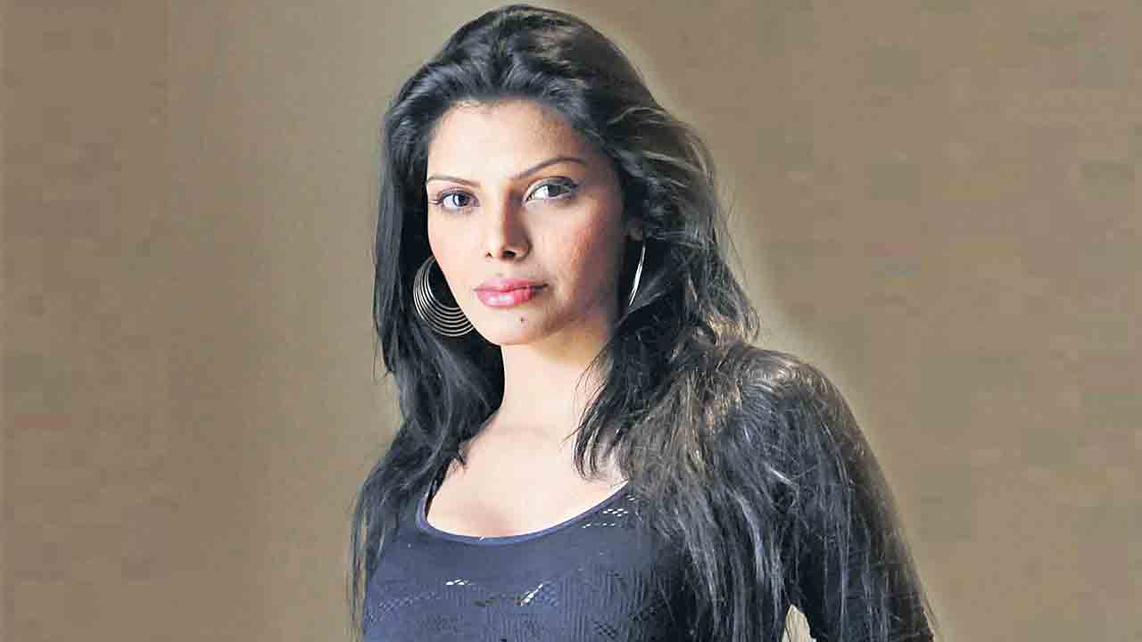 Sherlyn Chopra |  నటి షెర్లిన్‌ చోప్రాకు వేధింపులు