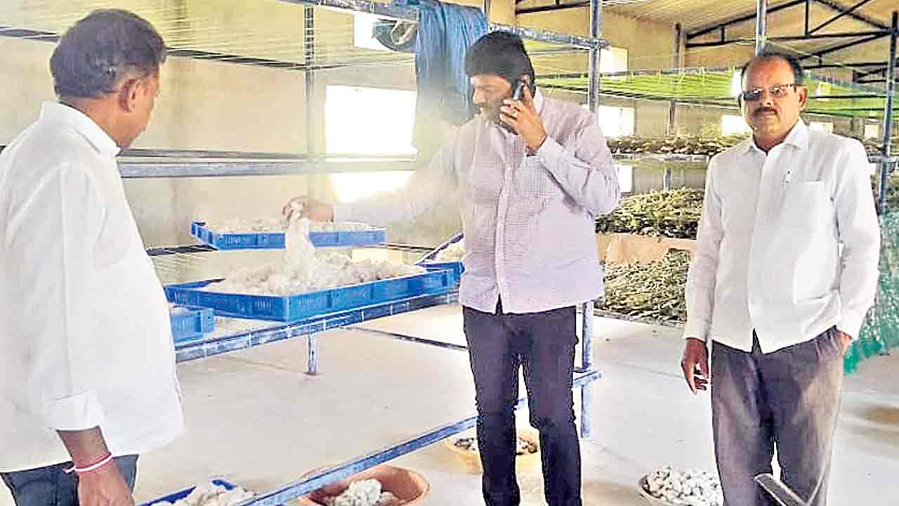 పట్టు చిక్కితే.. ఆదాయం