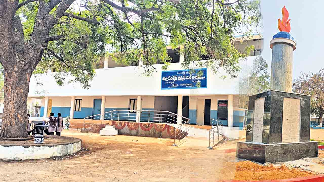 వ‌జ్రోత్స‌వ వైభ‌వం