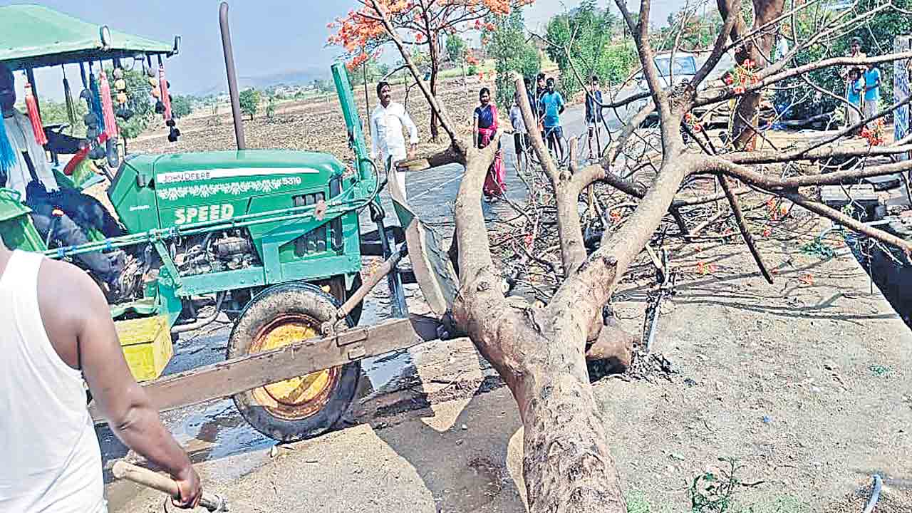 హోరుగాలి.. జోరువాన