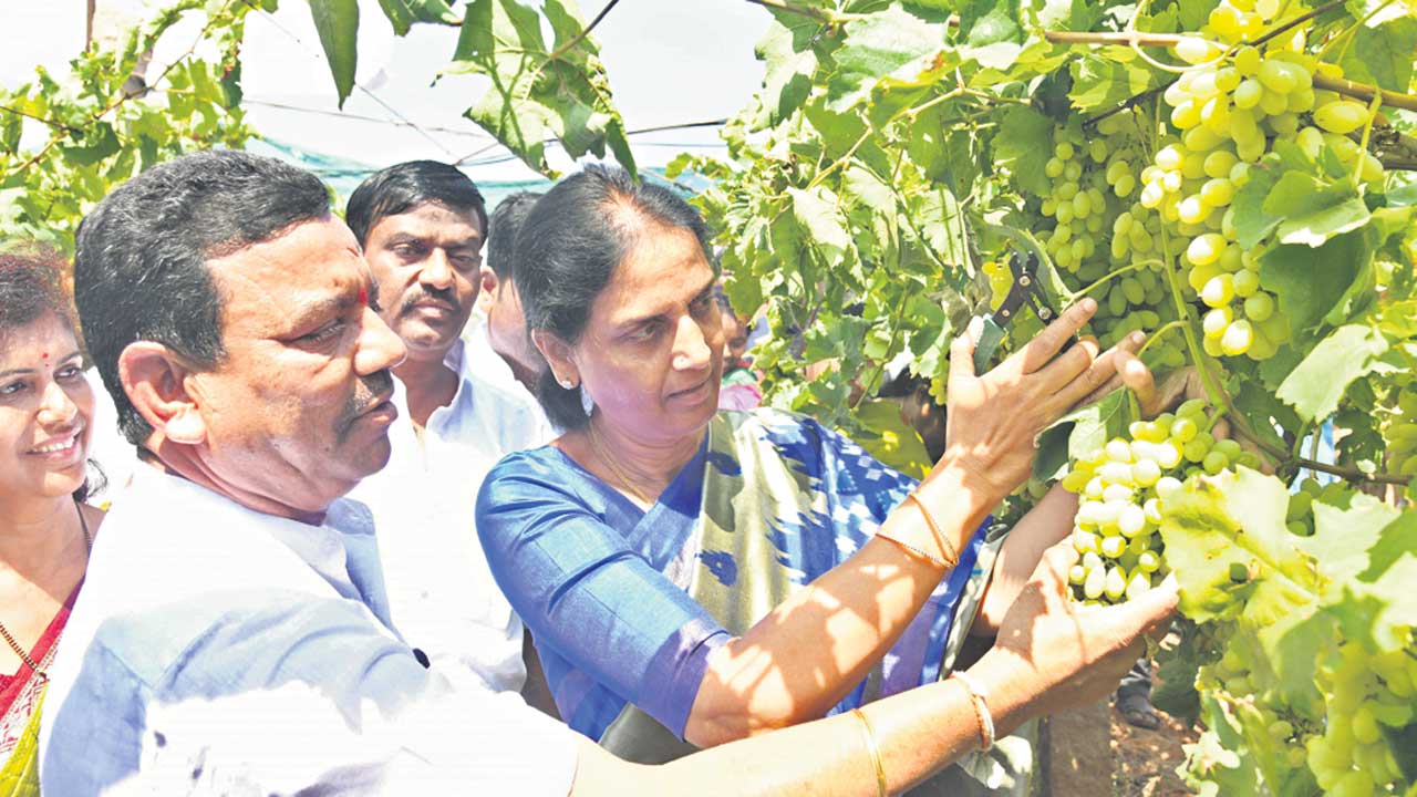 13 ఏండ్లుగా.. లాభాలు దండిగా..