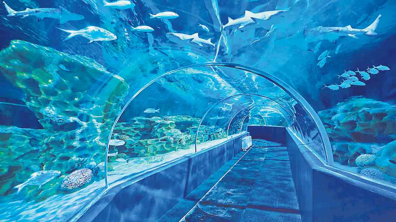 దేశంలోనే అతి పెద్ద టన్నెల్‌ అక్వేరియం