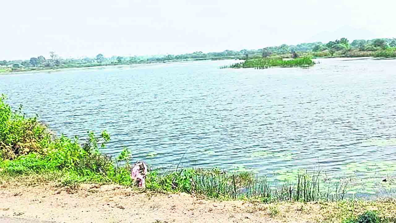 చెరువులు నిండుగా పంటలు పచ్చగా..