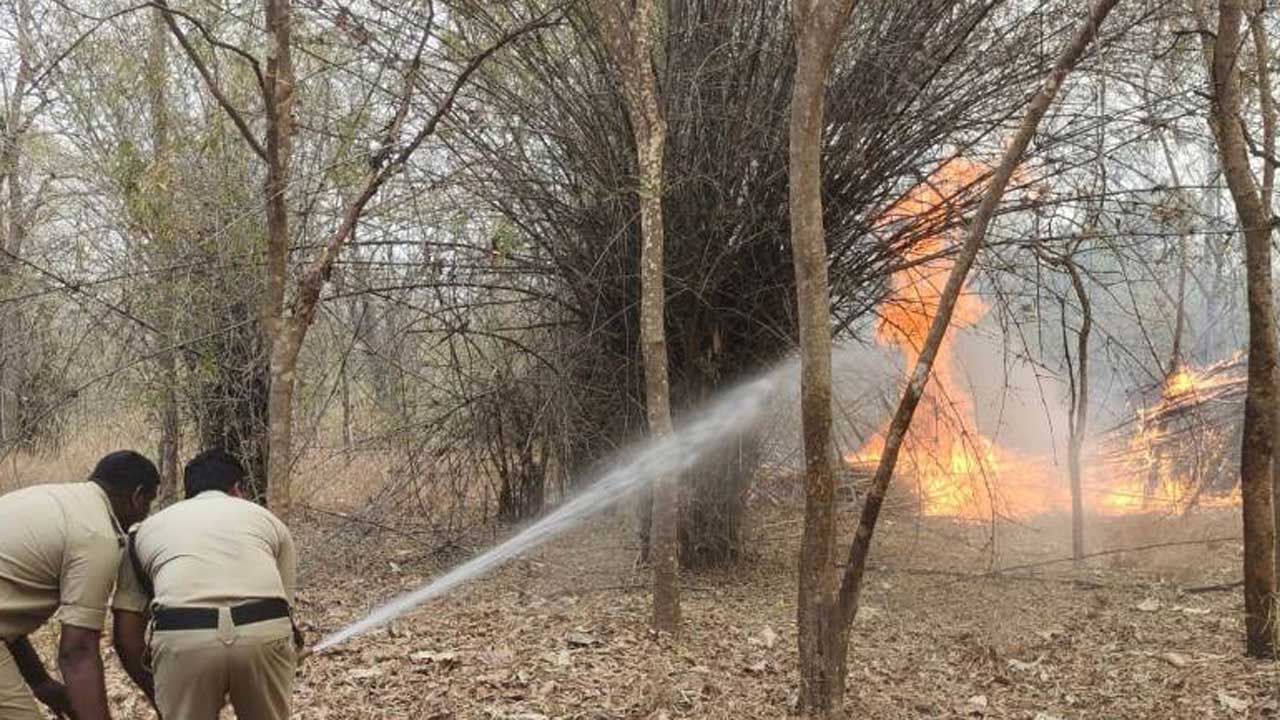 నల్లమలలో తగ్గిన కార్చిచ్చు