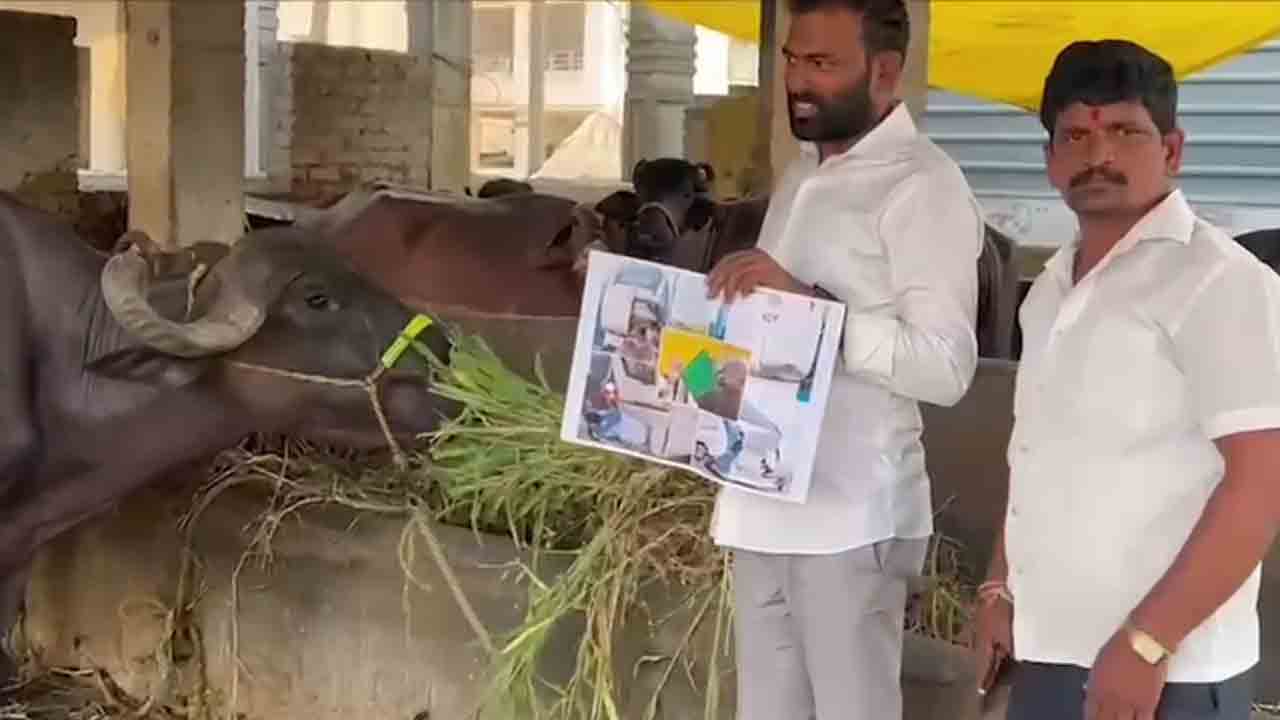 Ysr