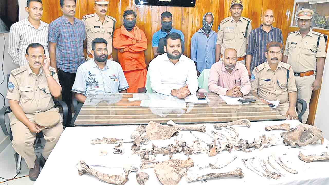 ఆ పులి కే-4కాదు