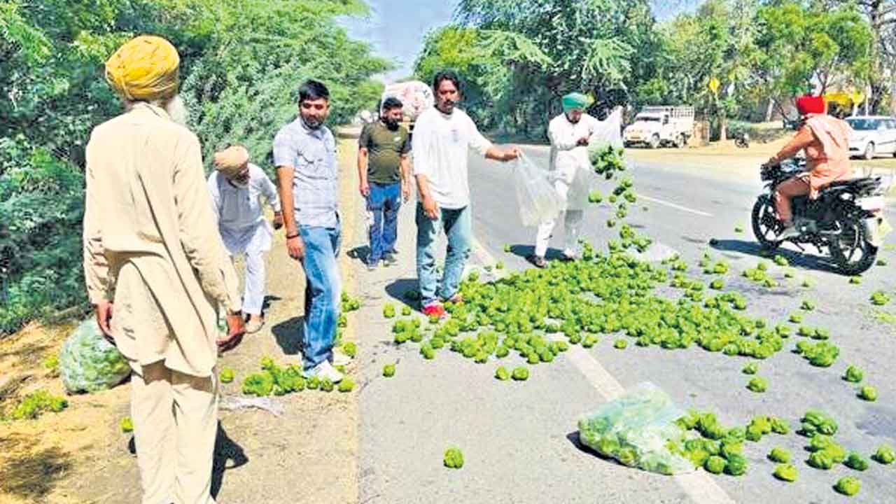 క్యాప్సికం ధర కిలో రూ.1