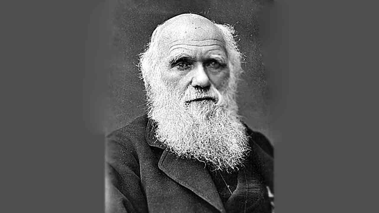 NCERT |   న్యూటన్‌, ఐన్‌స్టీన్‌ ప్రస్తావన లేకుండానే సైన్స్‌ బోధిస్తారేమో.. పాఠ్యాంశాల మార్పుపై మేధావుల తీవ్ర ఆగ్రహం